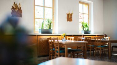 Hier ist ein prägnanter, SEO-optimierter Alternativtext für dieses Interieur-Foto: Alternativtext: Einladender Gastraum bei Friweika: Hell beleuchteter Essbereich mit Holztischen, grünen Polsterstühlen und dekorativen Zimmerpflanzen vor großen Fenstern.