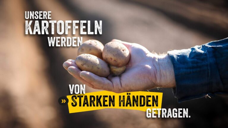 Nahaufnahme einer Männerhand, die mehrere frische Kartoffeln hält, mit dem Werbetext „Unsere Kartoffeln werden von starken Händen getragen“ auf einem ländlichen Hintergrund.
