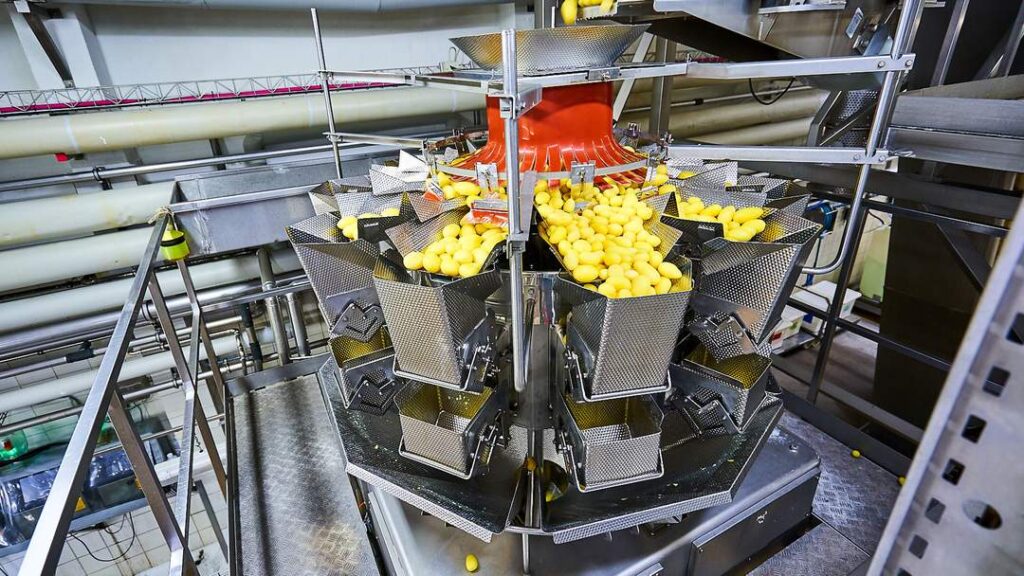 Automatisierte Kartoffelverarbeitung in moderner Lebensmittelproduktion mit industrieller Sortier- und Wiegetechnik