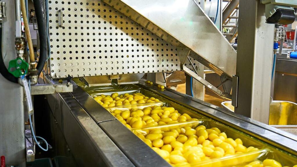 Industrielle Verpackungsanlage für Kartoffeln in der Lebensmittelindustrie mit automatisierter Abfülltechnik