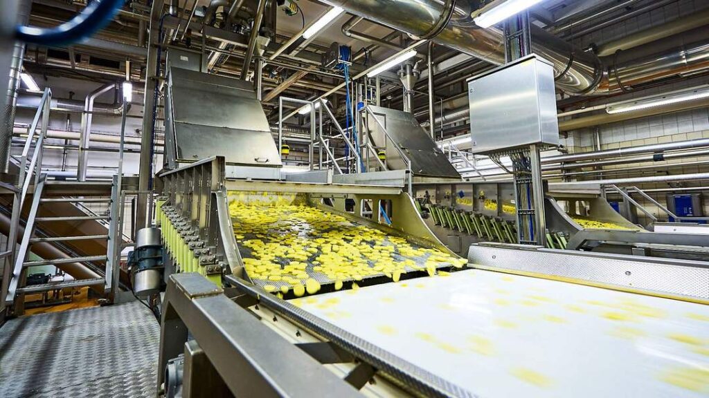 Förderband in der Kartoffelindustrie zur automatisierten Verarbeitung und Qualitätskontrolle von Kartoffelprodukten