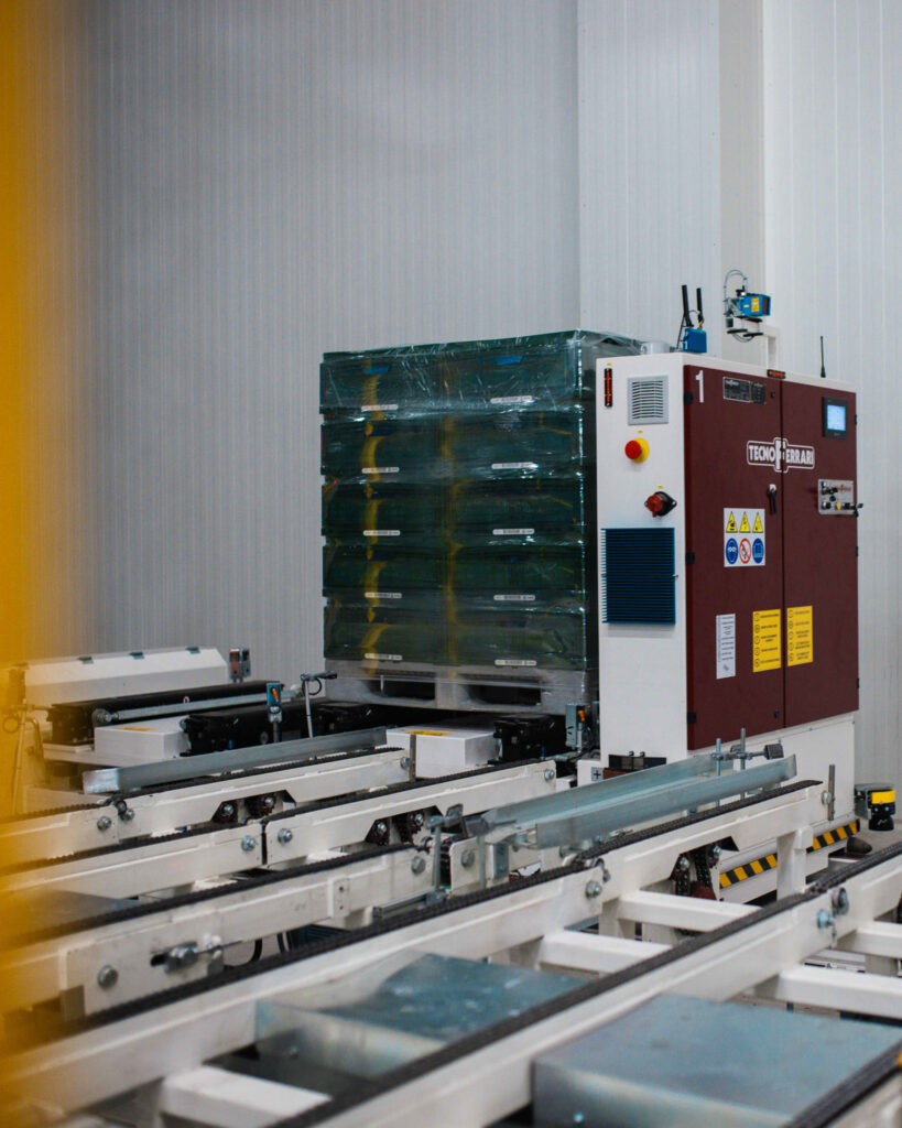 Automatisches Verpackungssystem Tecnoferrari mit Rollenbahn im Logistiklager