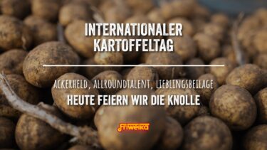 Internationaler Tag der Kartoffel – Friweika-Banner mit erdigen Kartoffeln und Text: Ackerheld, Allroundtalent, Lieblingsbeilage – Heute feiern wir die Knolle.