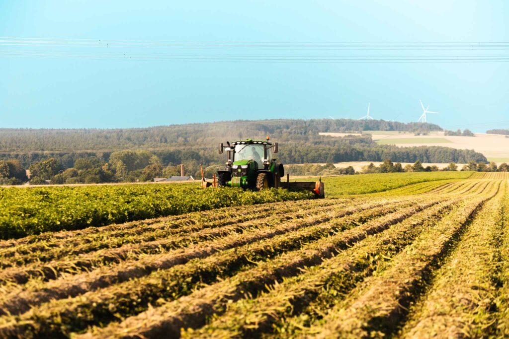 Traktor fährt über ein Kartoffelfeld mit langen Ackerfurchen
