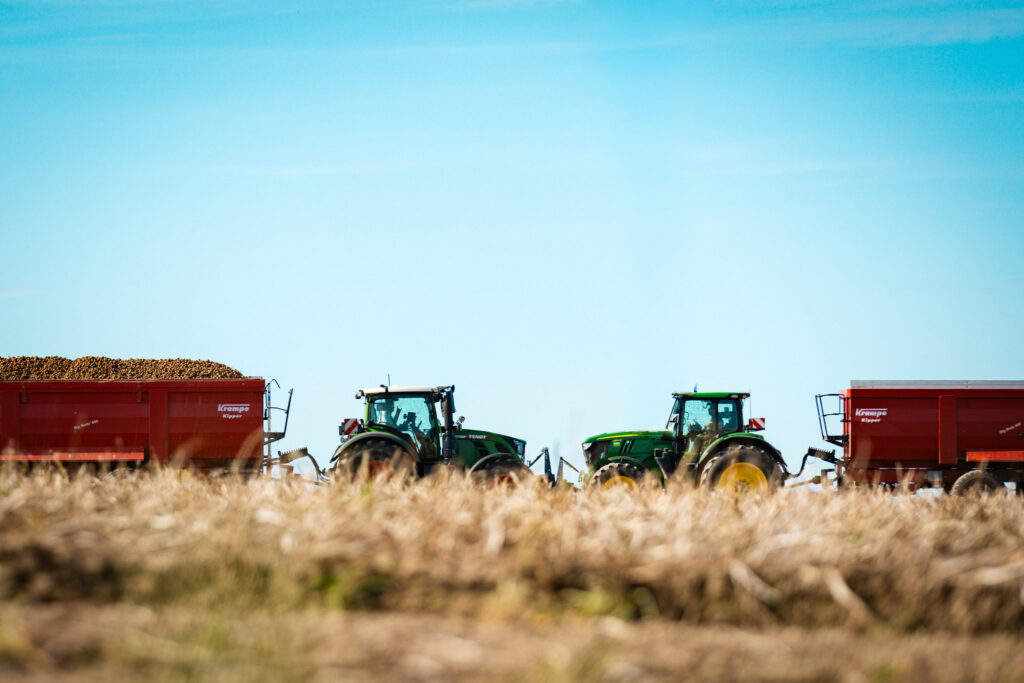 Zwei Traktoren von Fendt und John Deere mit beladenen Krampe-Kippern bei der Kartoffelernte auf dem Feld