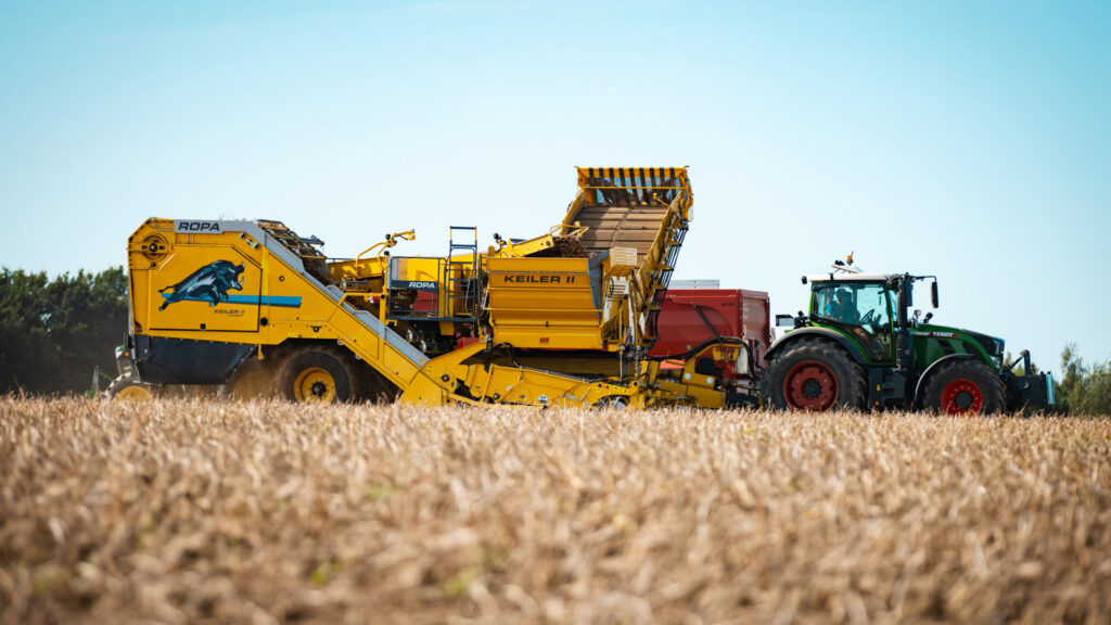Gelber Kartoffelroder ROPA Keiler 2 gezogen von einem Fendt Traktor bei der Kartoffelernte auf dem Feld
