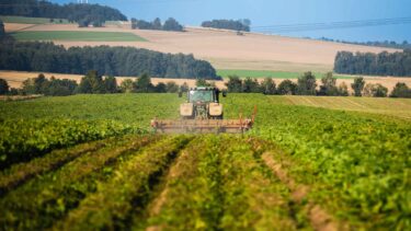 Traktor bei der Ernte auf einem grünen Feld vor hügeliger Kulisse.