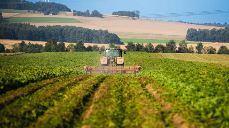 Traktor bei der Ernte auf einem grünen Feld vor hügeliger Kulisse.