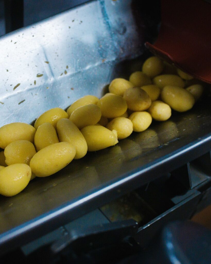 Geschälte Kartoffeln auf einer Förderrinne in der Kartoffelverarbeitung