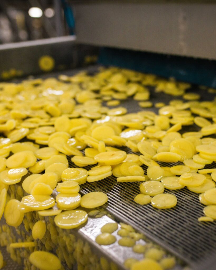 Frisch geschnittene Kartoffelscheiben auf dem Förderband in der Kartoffelverarbeitung