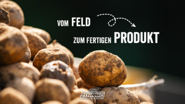 Frisch geerntete Kartoffeln für die Weiterverarbeitung von Friweika